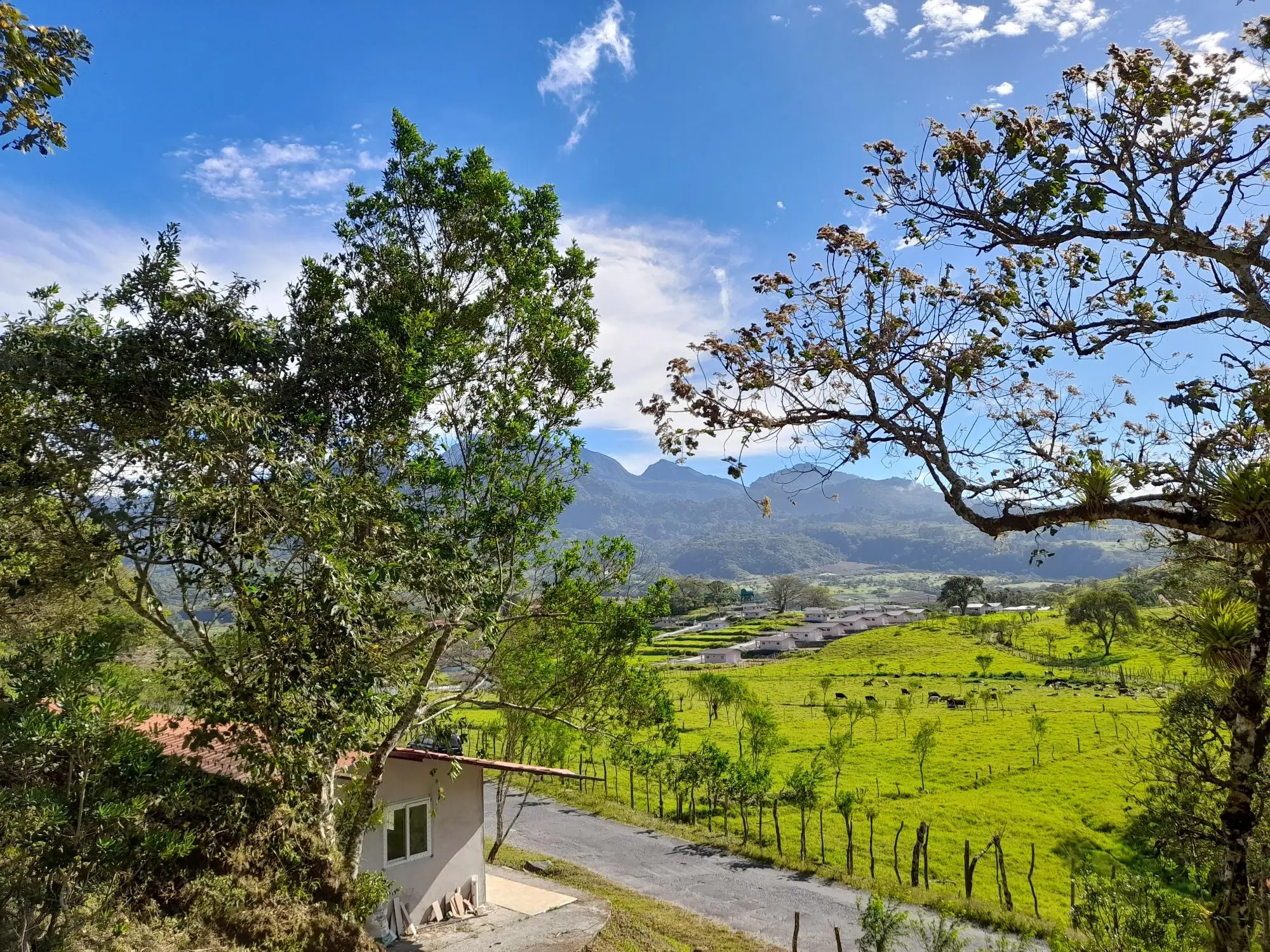 Volcan Chiriqui - Photo 149