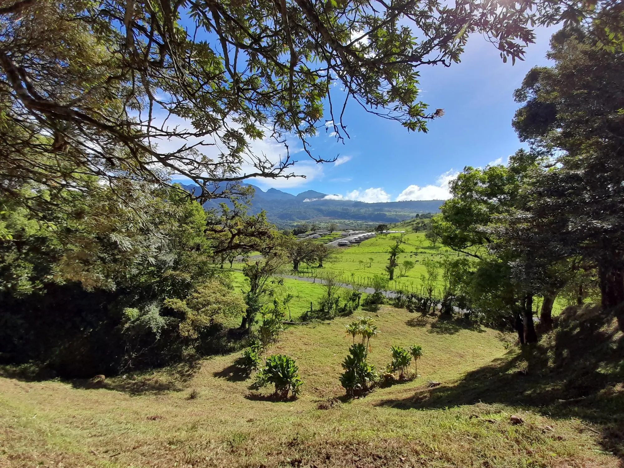 Volcan Chiriqui - Photo 51