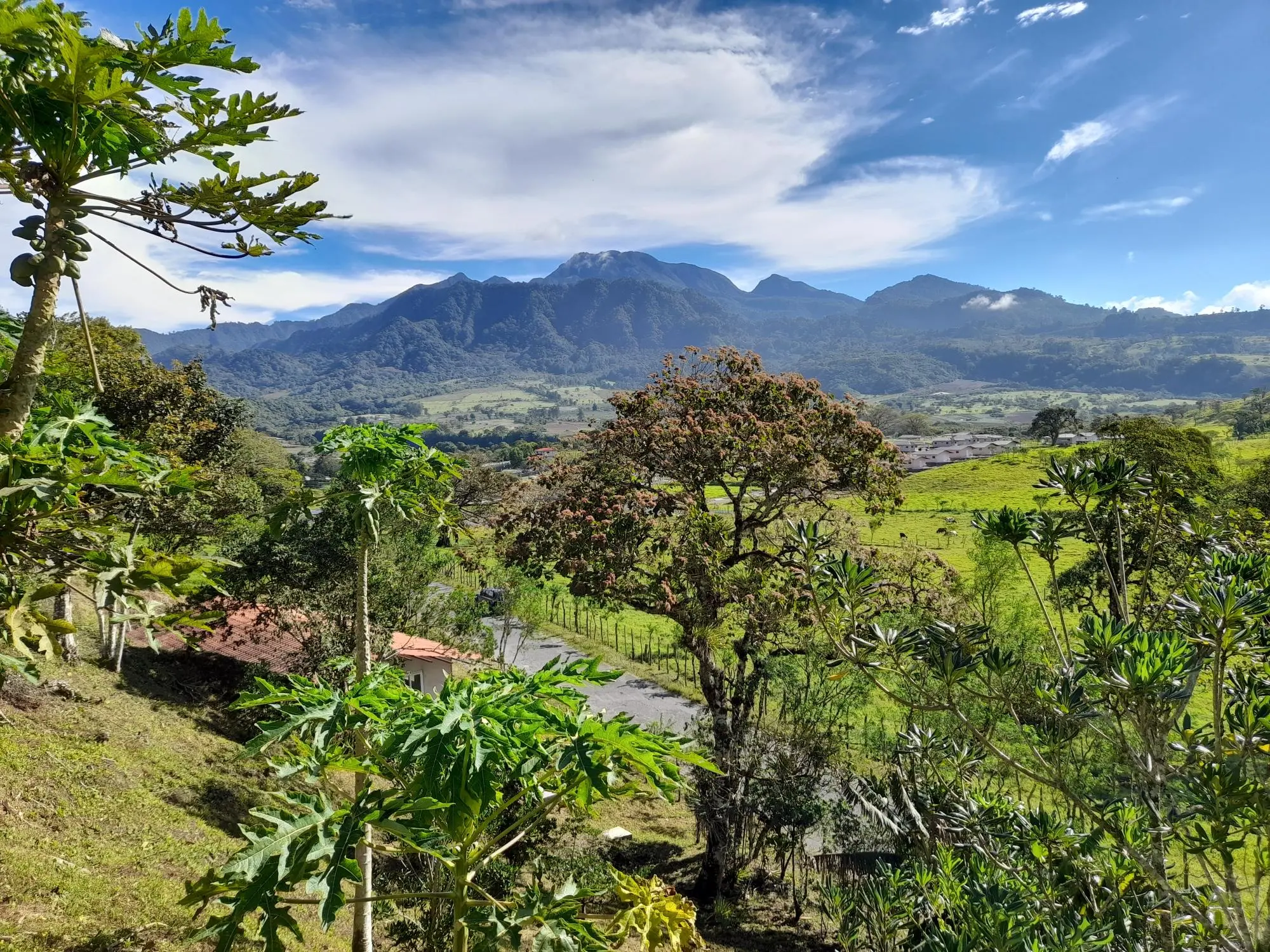 Volcan Chiriqui - Photo 19