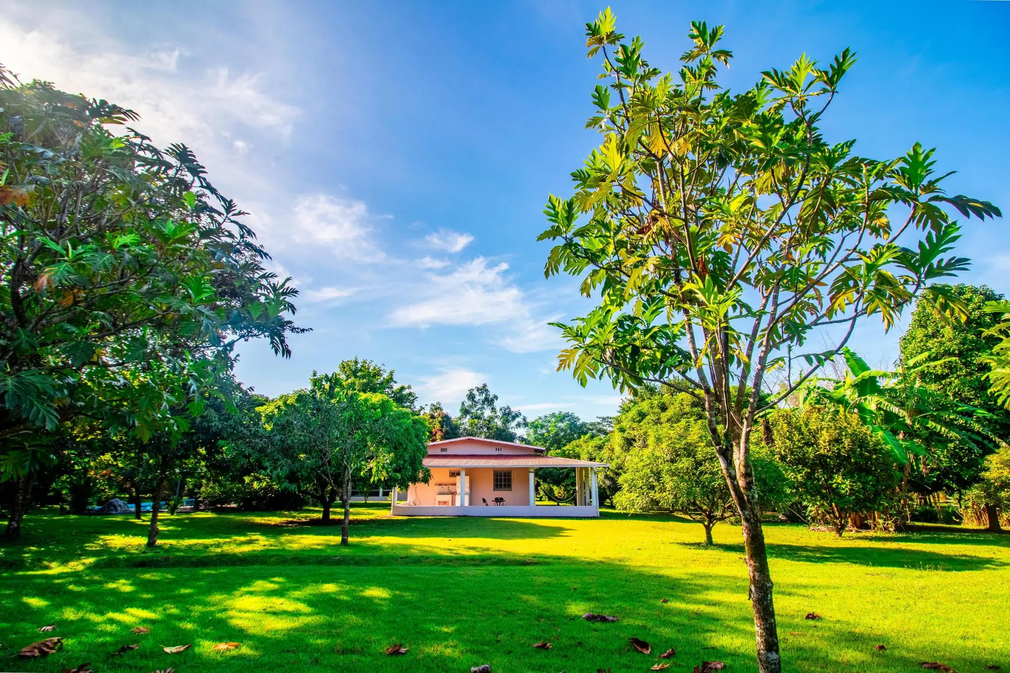 0 Chiriquí, Boquete, El Francés Abajo, 3 Casitas - Photo 29