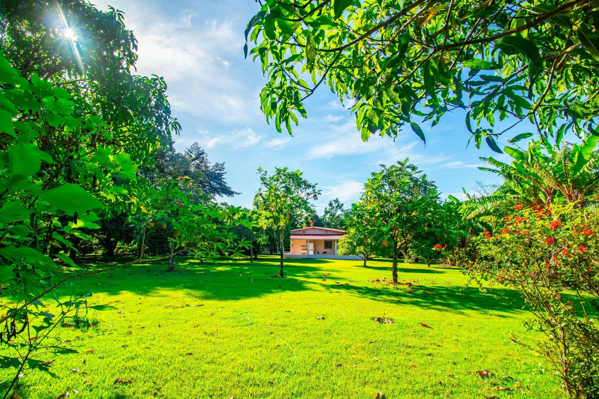 0 Chiriquí, Boquete, El Francés Abajo, 3 Casitas - Photo 28