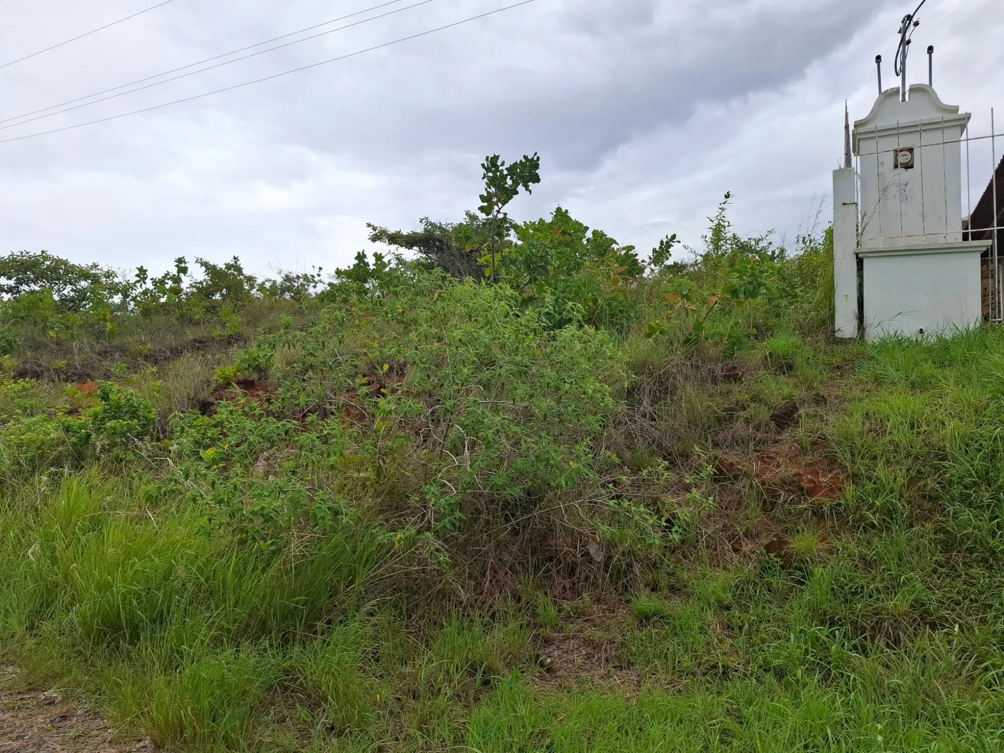 Calle A Lado De Via A El Valle #09 - Photo 10