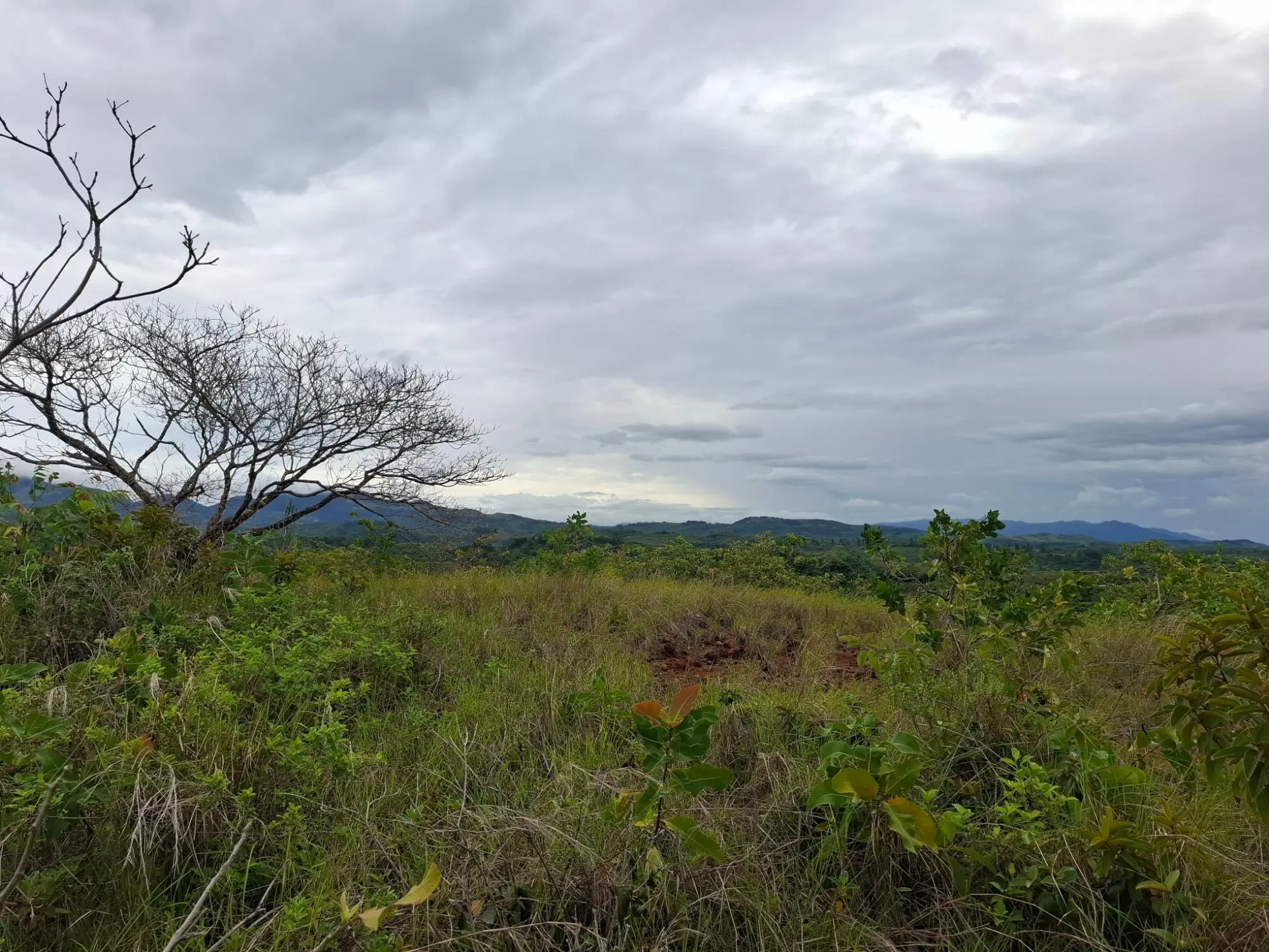 Calle A Lado De Via A El Valle #09 - Photo 5