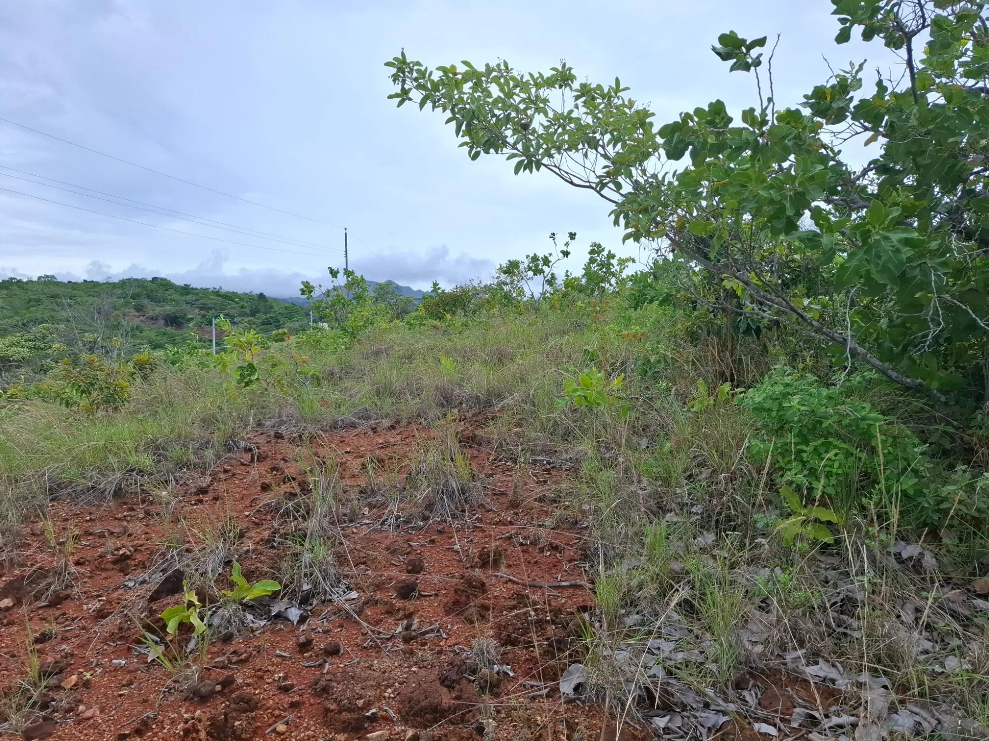 Calle A Lado De Via A El Valle #09 - Photo 8