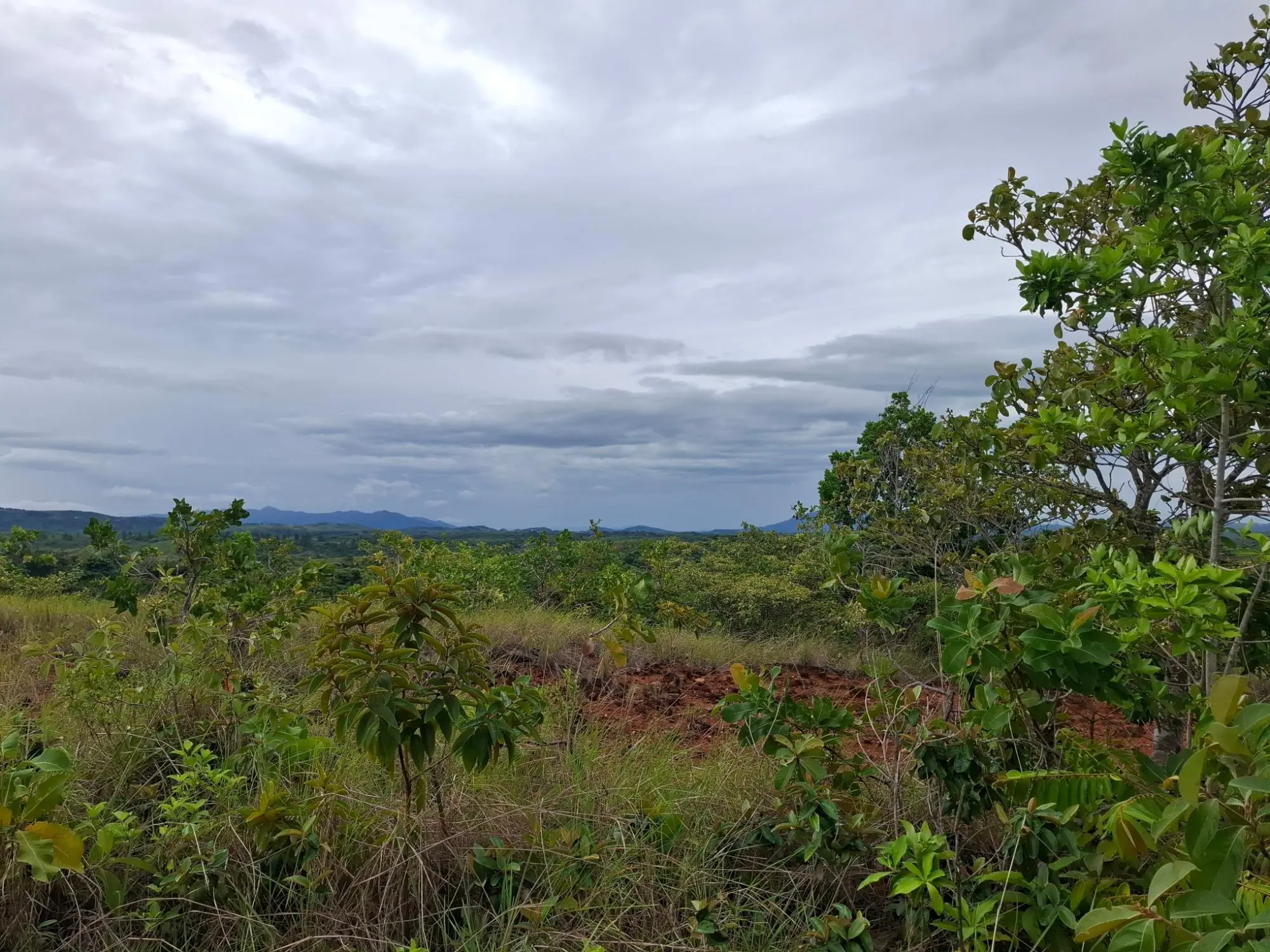 Calle A Lado De Via A El Valle #09 - Photo 6