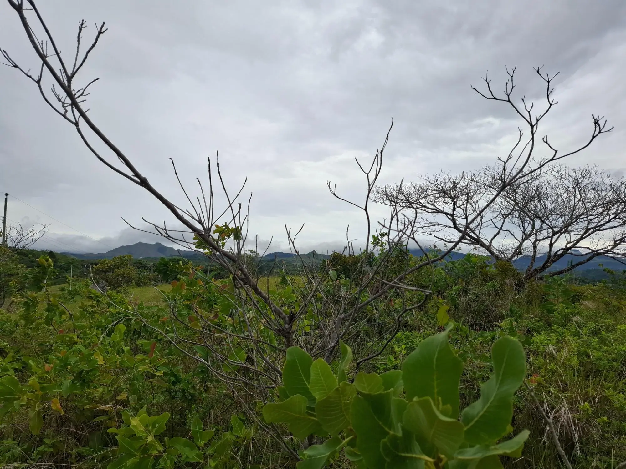 Calle A Lado De Via A El Valle #09 - Photo 4