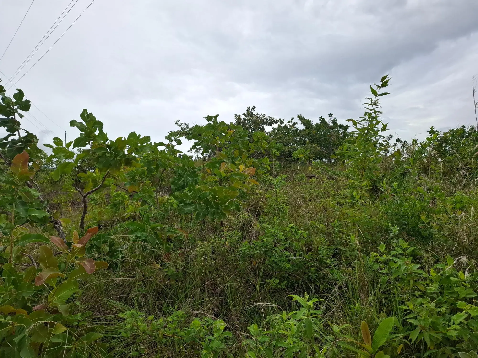 Calle A Lado De Via A El Valle #09 - Photo 9