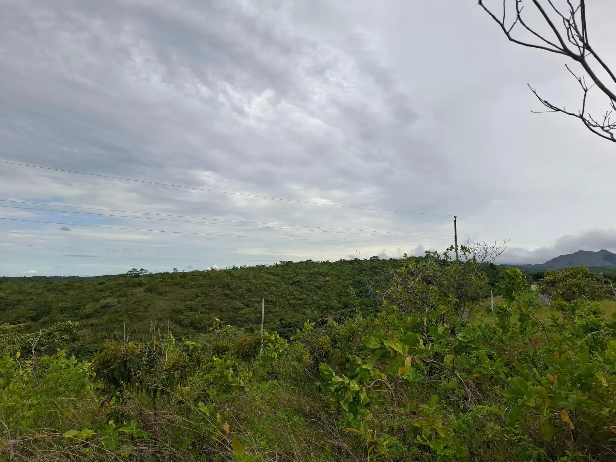 Calle A Lado De Via A El Valle #09 - Photo 3