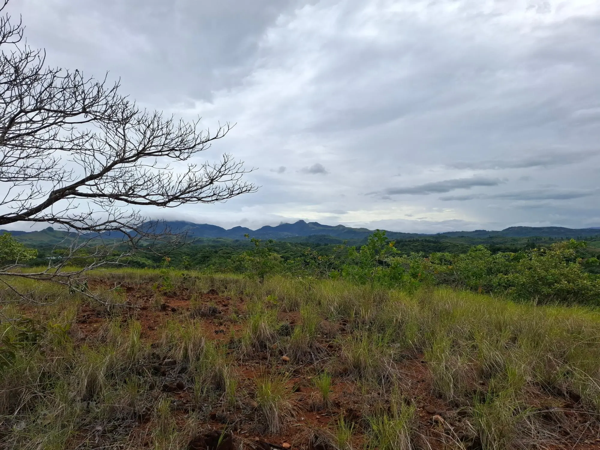 Calle A Lado De Via A El Valle #09 - Photo 2