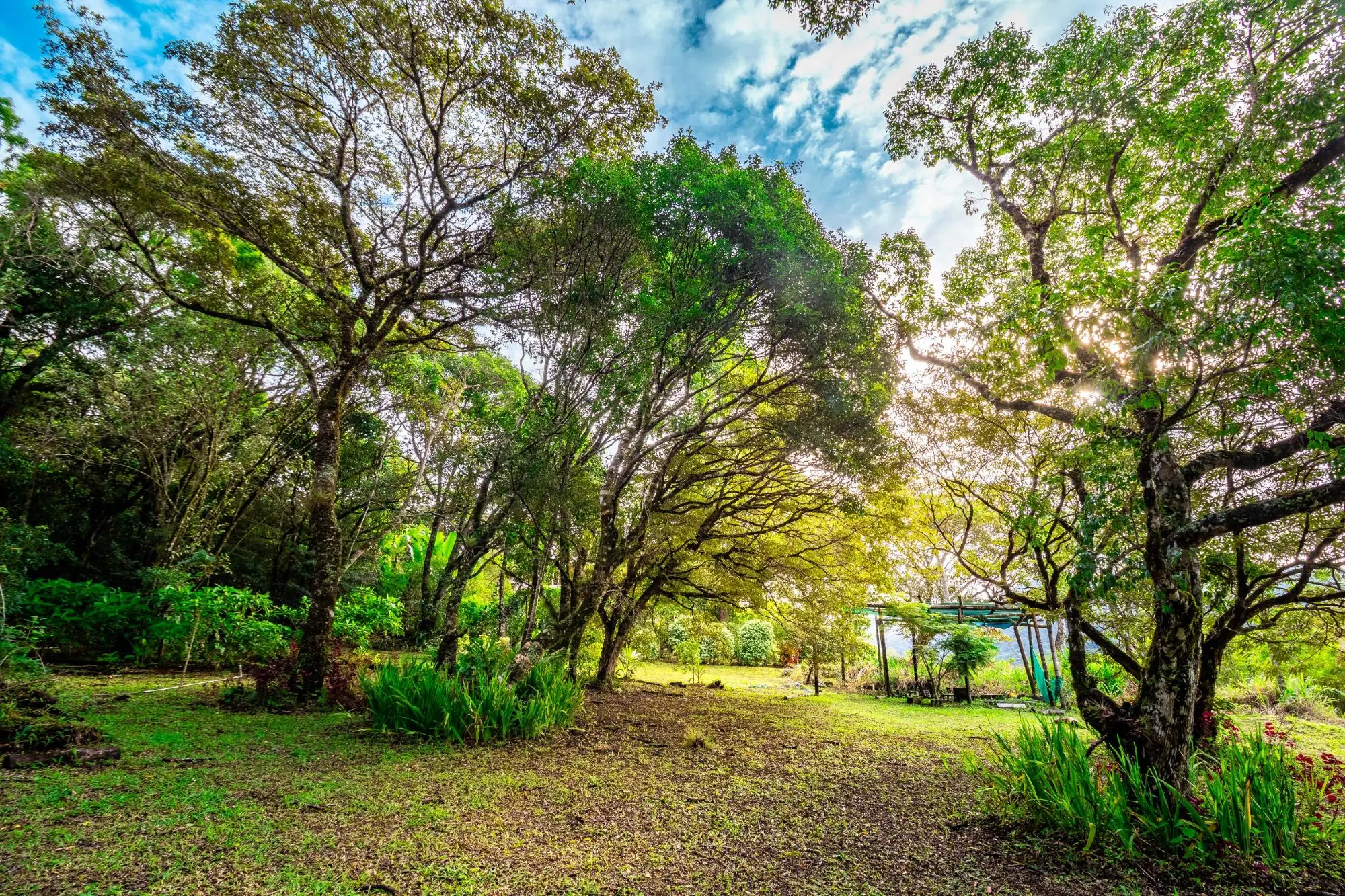 0 Chiriquí, Boquete,volcancito, Casa Mirador - Photo 25