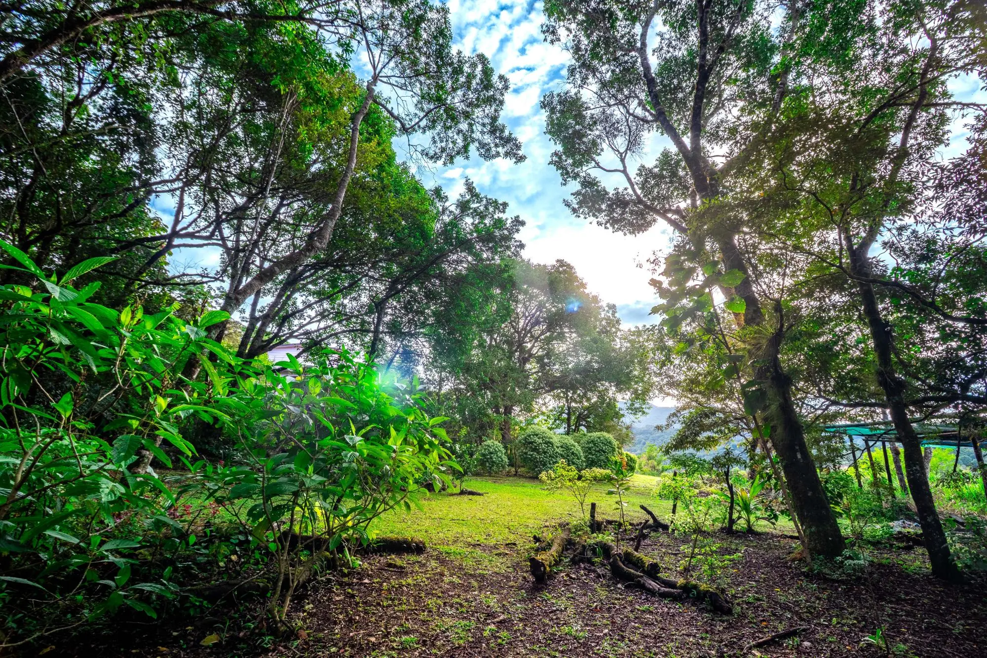 0 Chiriquí, Boquete,volcancito, Casa Mirador - Photo 27