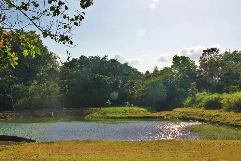 #57 Brisas De Los Lagos, El Arado , La Chorrera - Photo 2