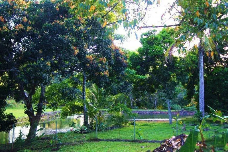 #57 Brisas De Los Lagos, El Arado , La Chorrera - Photo 4