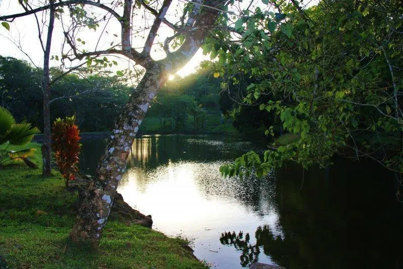 #57 Brisas De Los Lagos, El Arado , La Chorrera - Photo 3