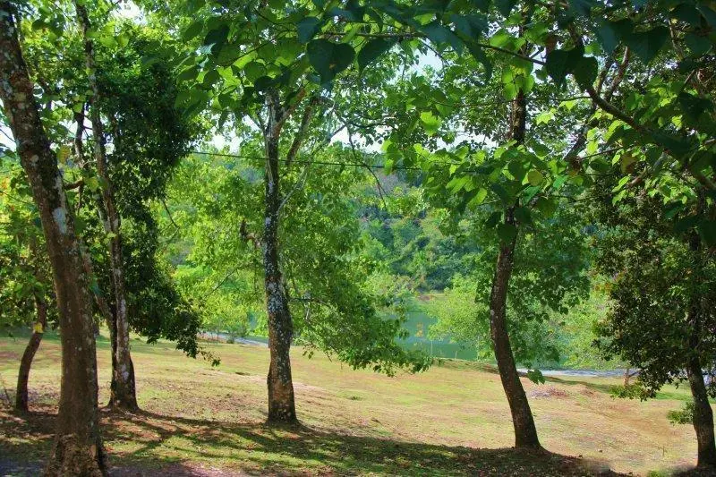 #57 Brisas De Los Lagos, El Arado , La Chorrera - Photo 7