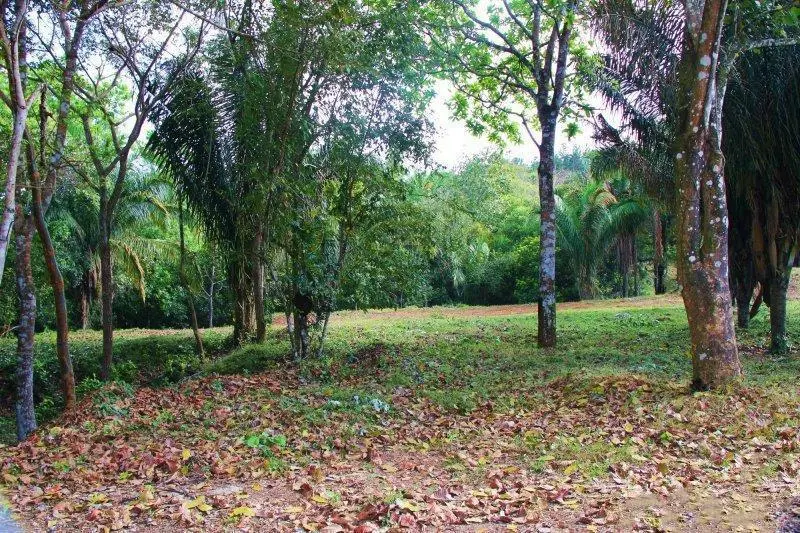 #57 Brisas De Los Lagos, El Arado , La Chorrera - Photo 11