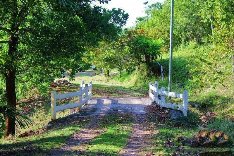 #57 Brisas De Los Lagos, El Arado , La Chorrera - Photo 8