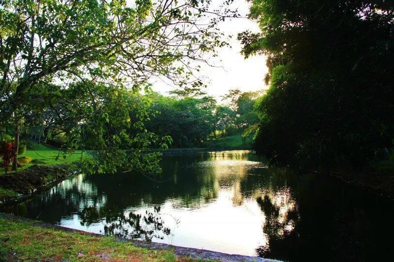 #57 Brisas De Los Lagos, El Arado , La Chorrera - Photo 5