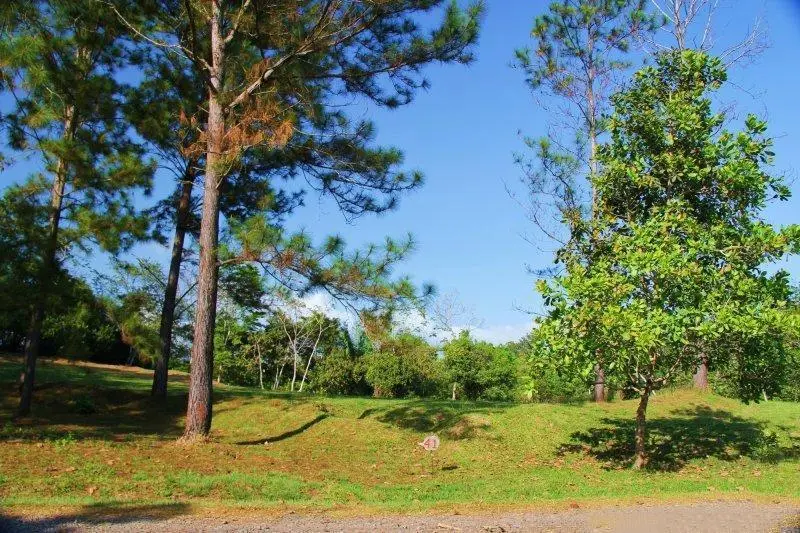 #57 Brisas De Los Lagos, El Arado , La Chorrera - Photo 12