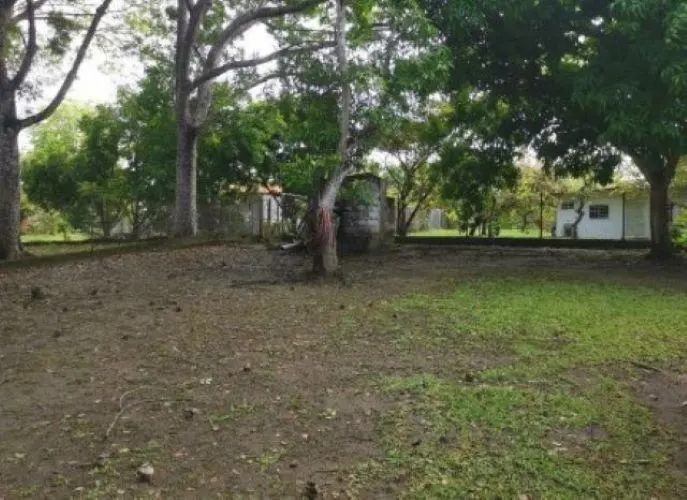 Urbanización Santa Isabel #lote 79 - Photo 14