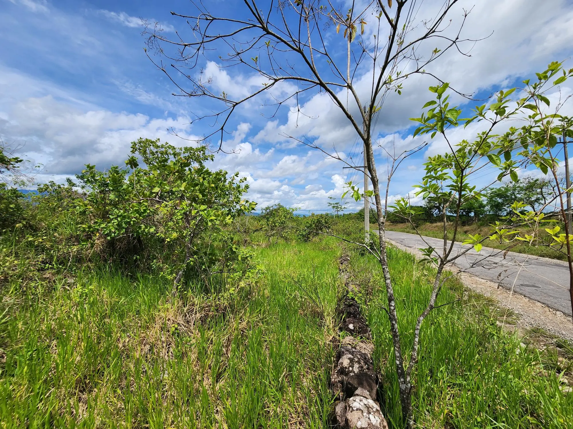 Caldera Chiriqui Panama - Photo 37