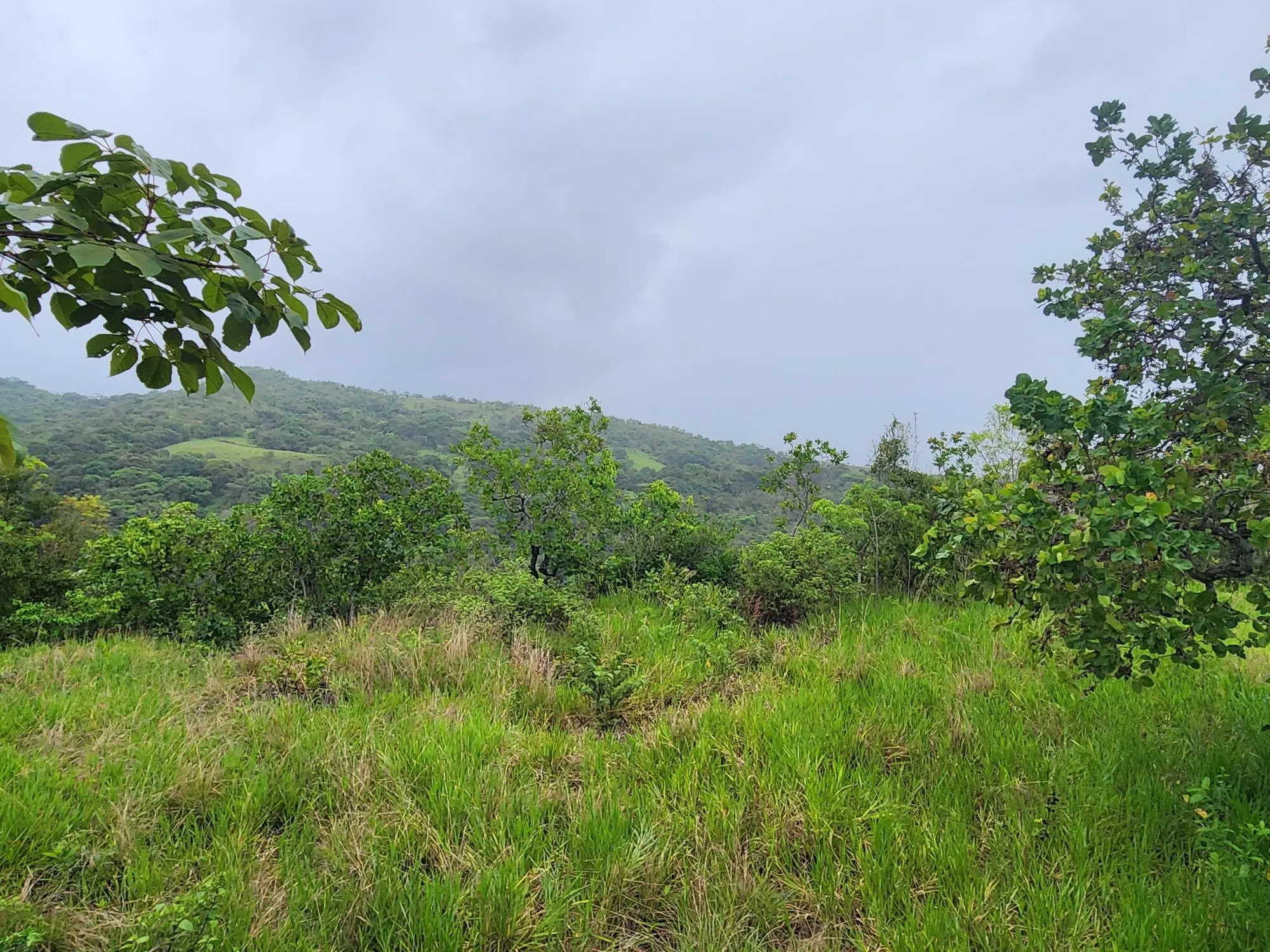 Caldera Chiriqui Panama - Photo 2