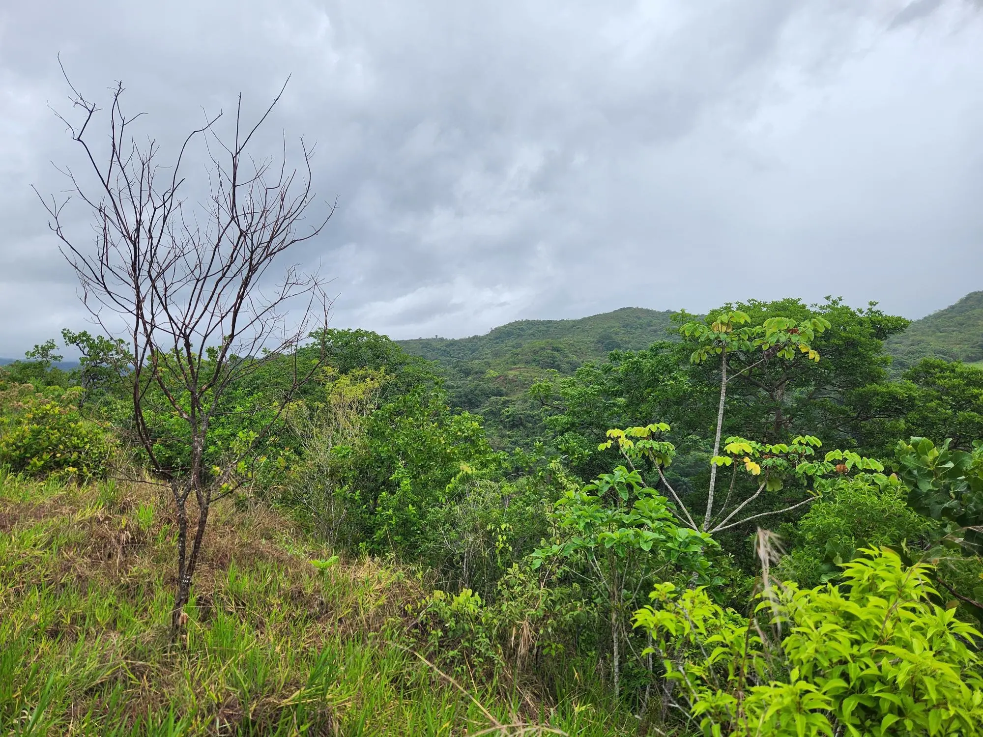 Caldera Chiriqui Panama - Photo 15