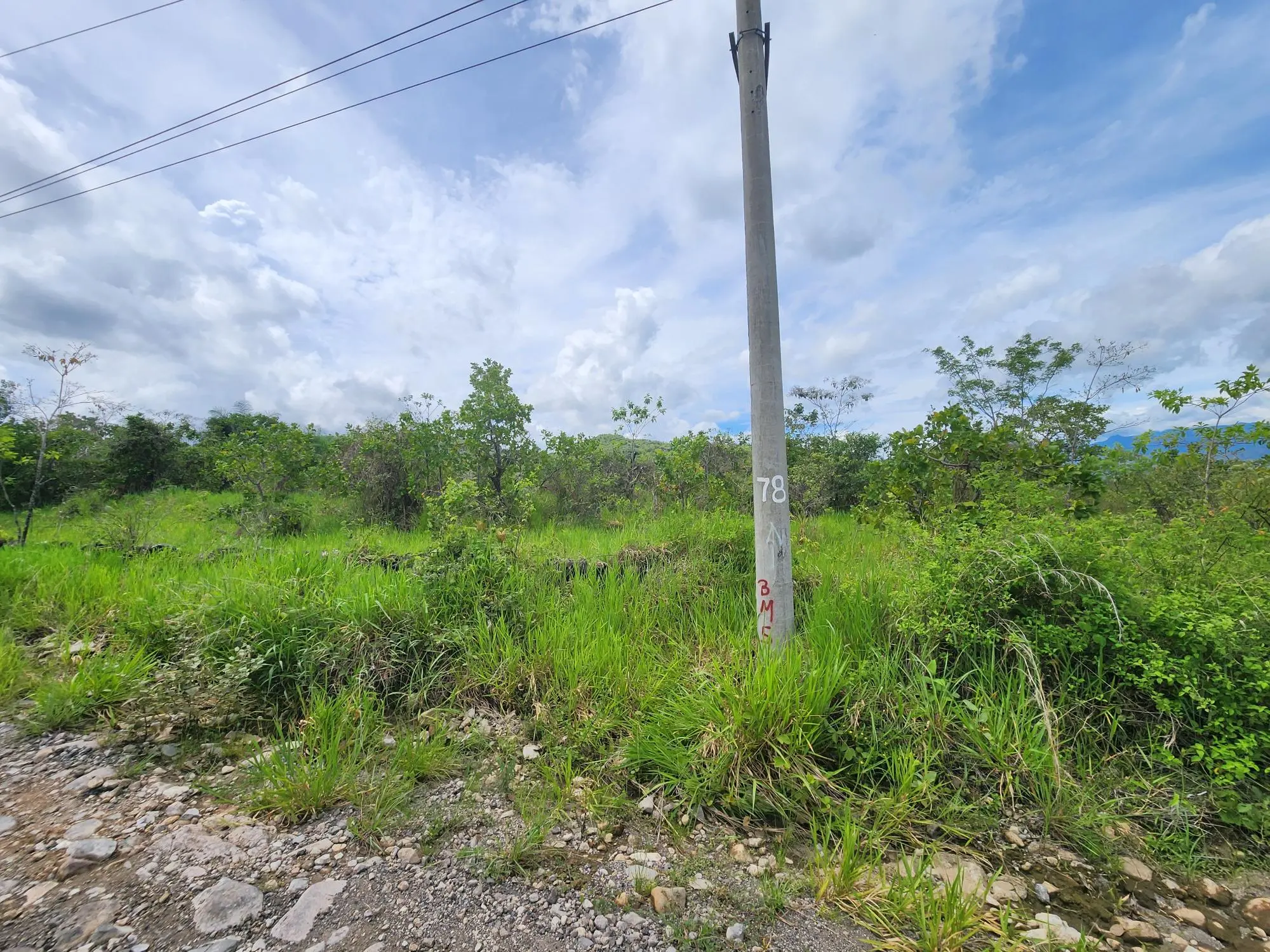Caldera Chiriqui Panama - Photo 27