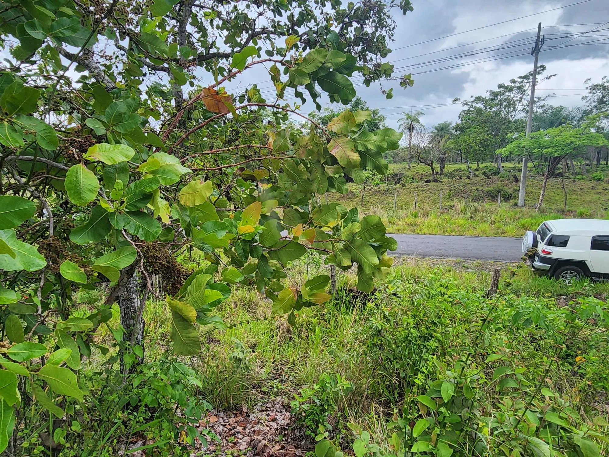 Caldera Chiriqui Panama - Photo 5