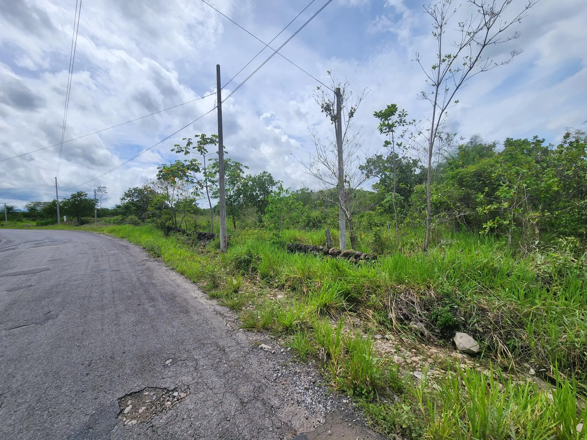 Caldera Chiriqui Panama - Photo 20