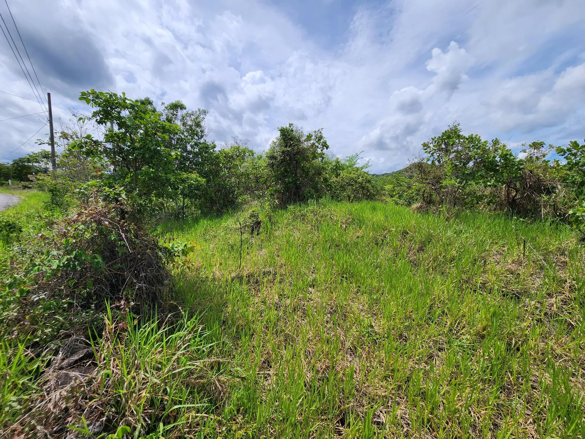 Caldera Chiriqui Panama - Photo 34