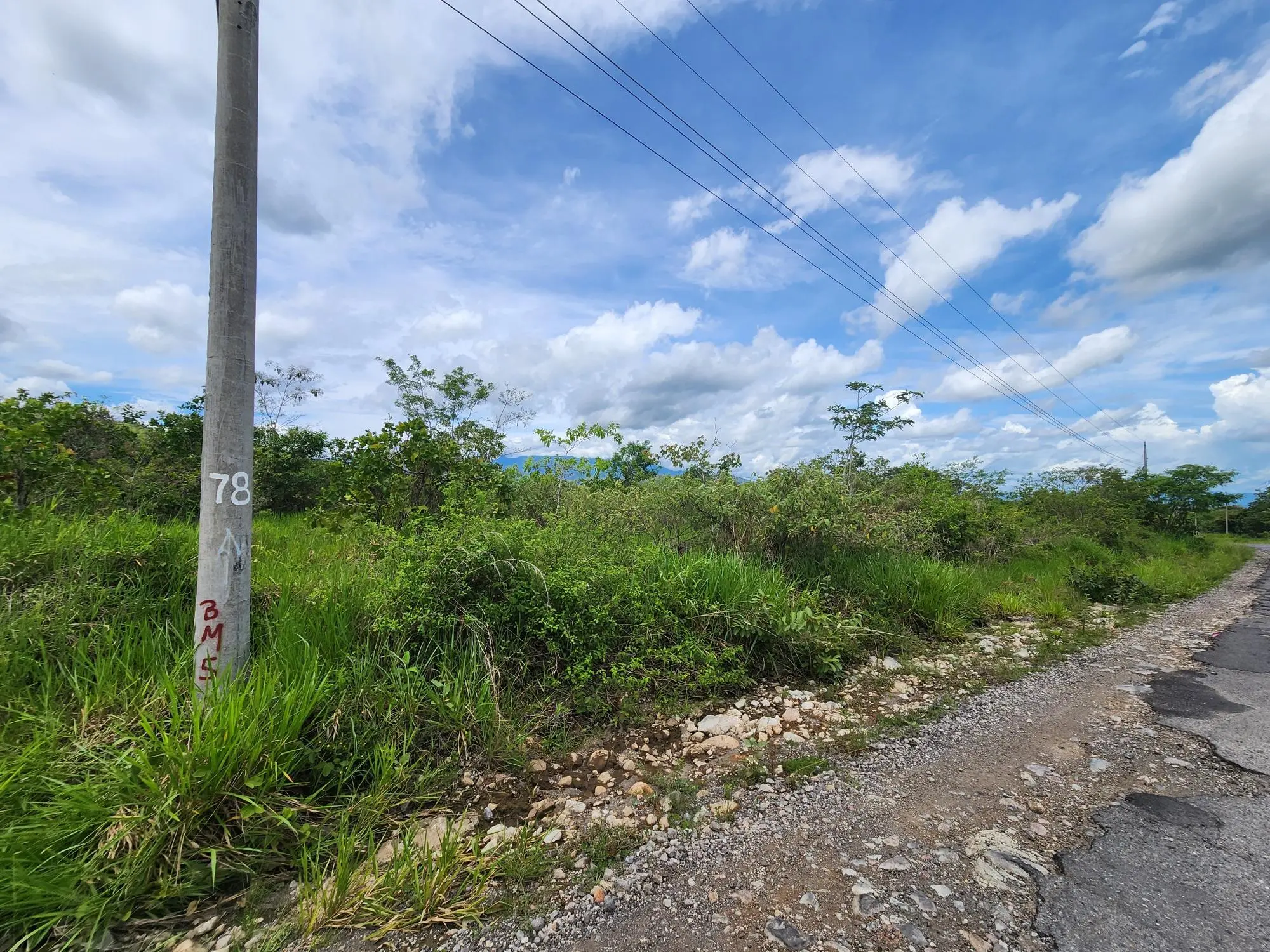 Caldera Chiriqui Panama - Photo 33