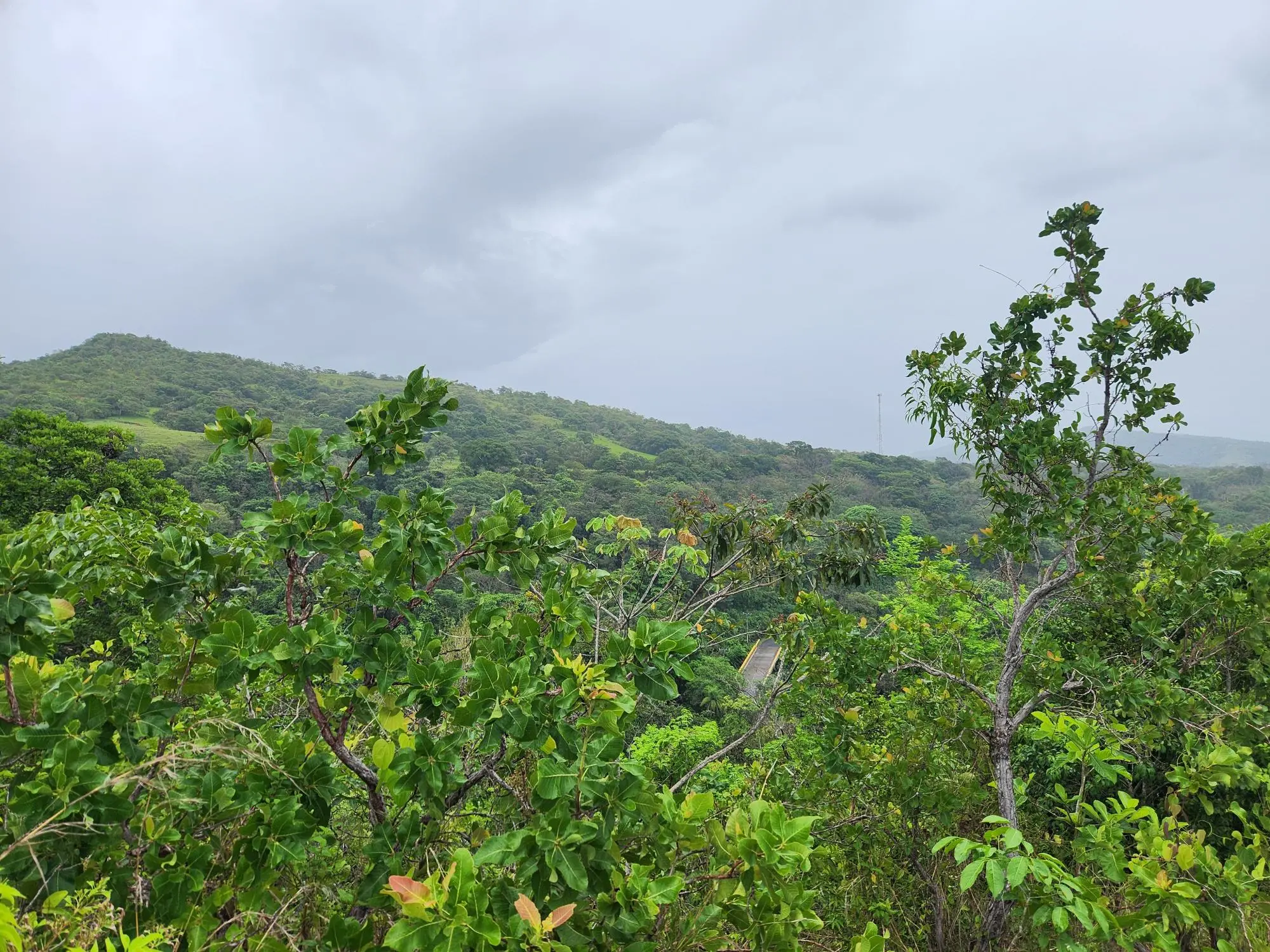Caldera Chiriqui Panama - Photo 10