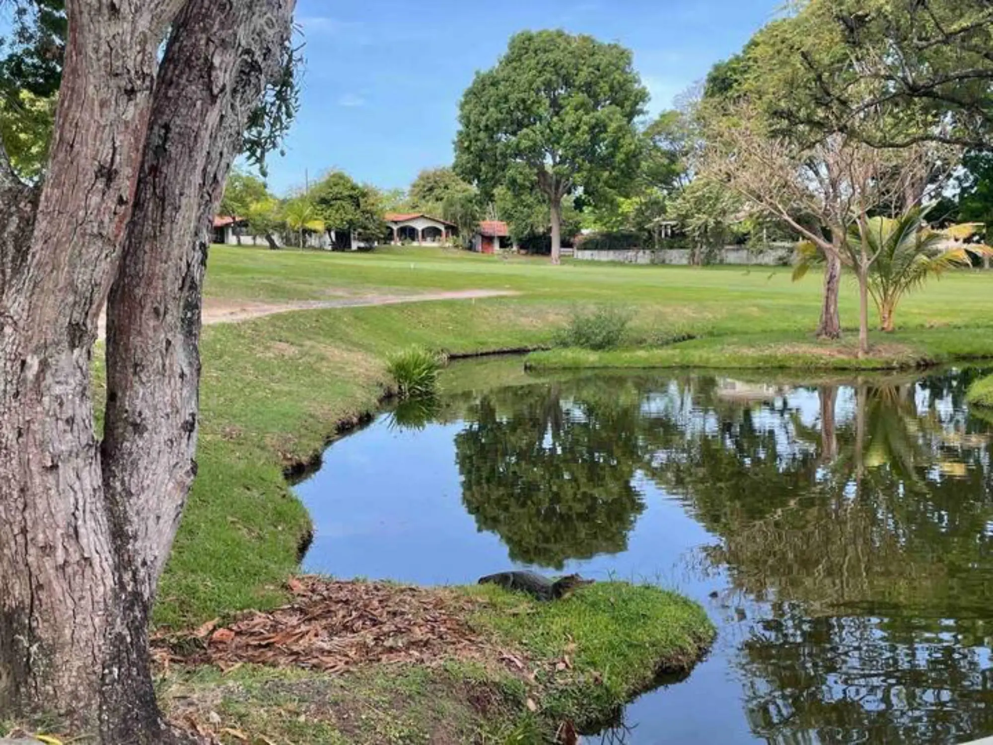 0 Panamá Oeste, Chame, Las Lajas, Coronado, Ph Luxury Suites At The Coronado Hotel #1121 - Photo 26