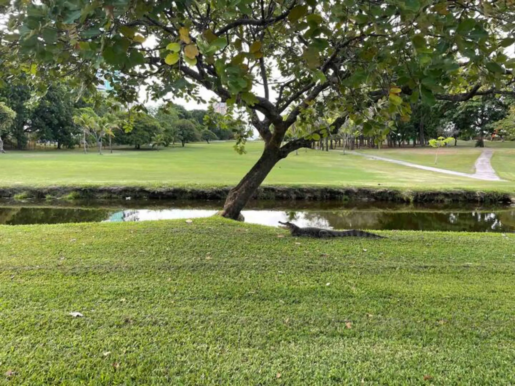 0 Panamá Oeste, Chame, Las Lajas, Coronado, Ph Luxury Suites At The Coronado Hotel #1121 - Photo 25
