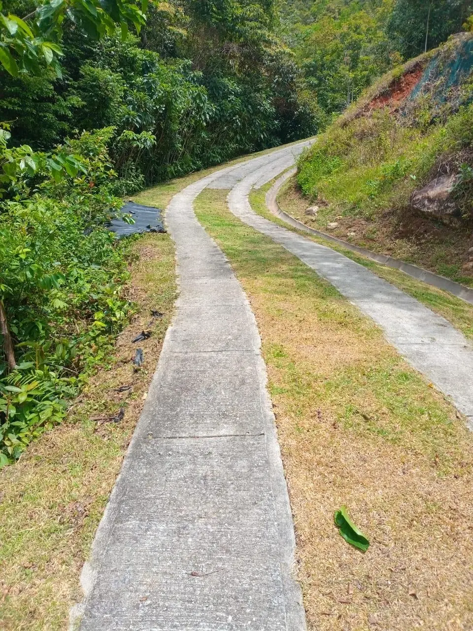 Venta De Terreno En Vía A Chica - Photo 3