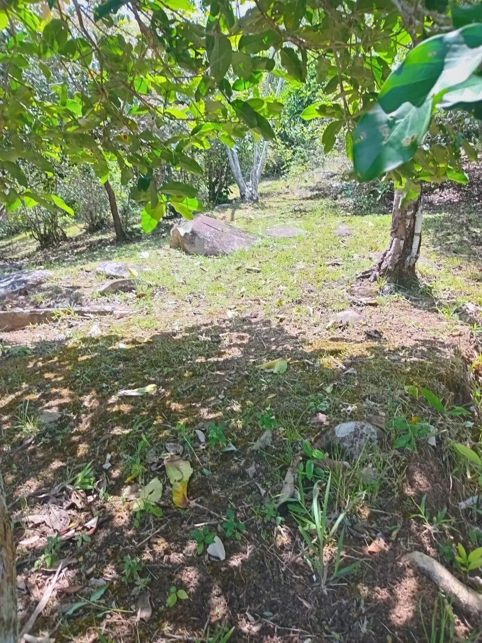 Venta De Terreno En Vía A Chica - Photo 7