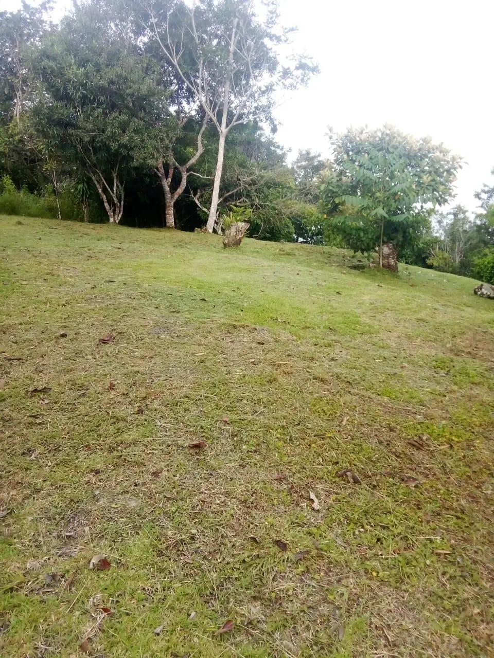 Venta De Terreno En Vía A Chica - Photo 11