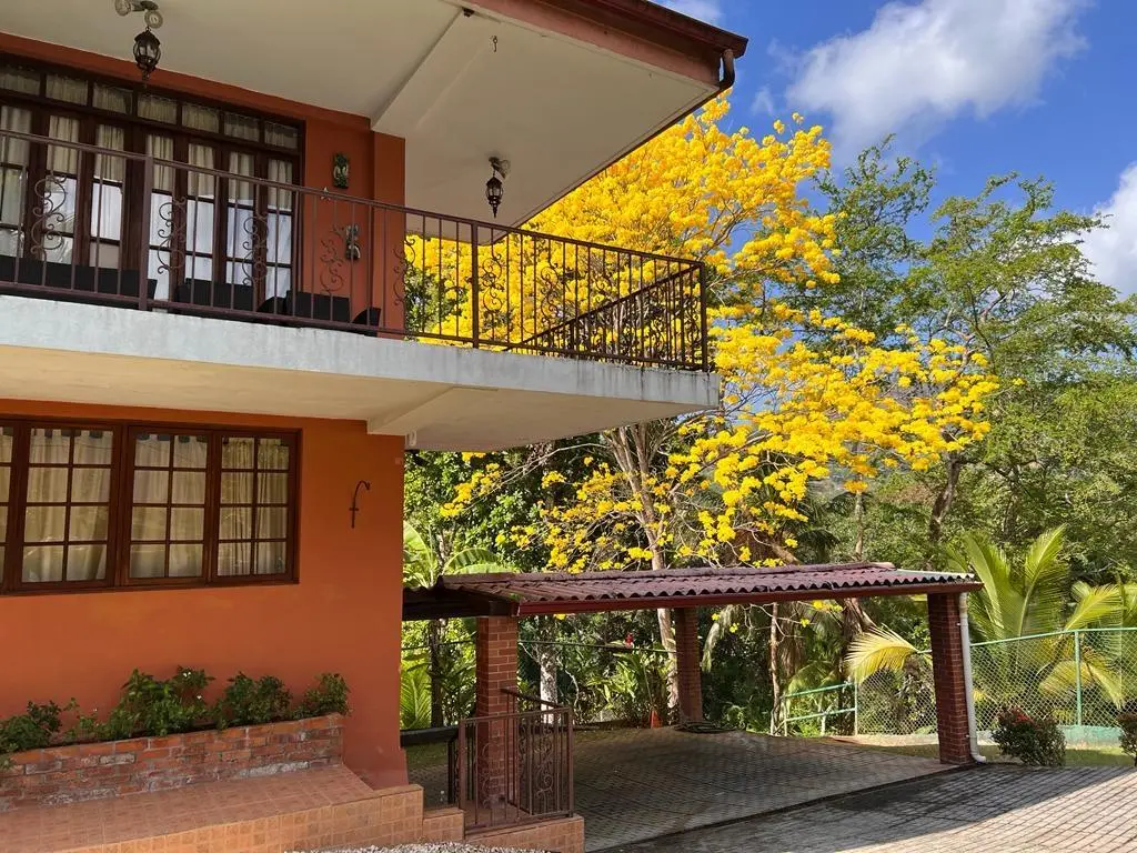 Las Cumbres Con Vista A Las Montañas, A Pasos Del Lago - Photo 45