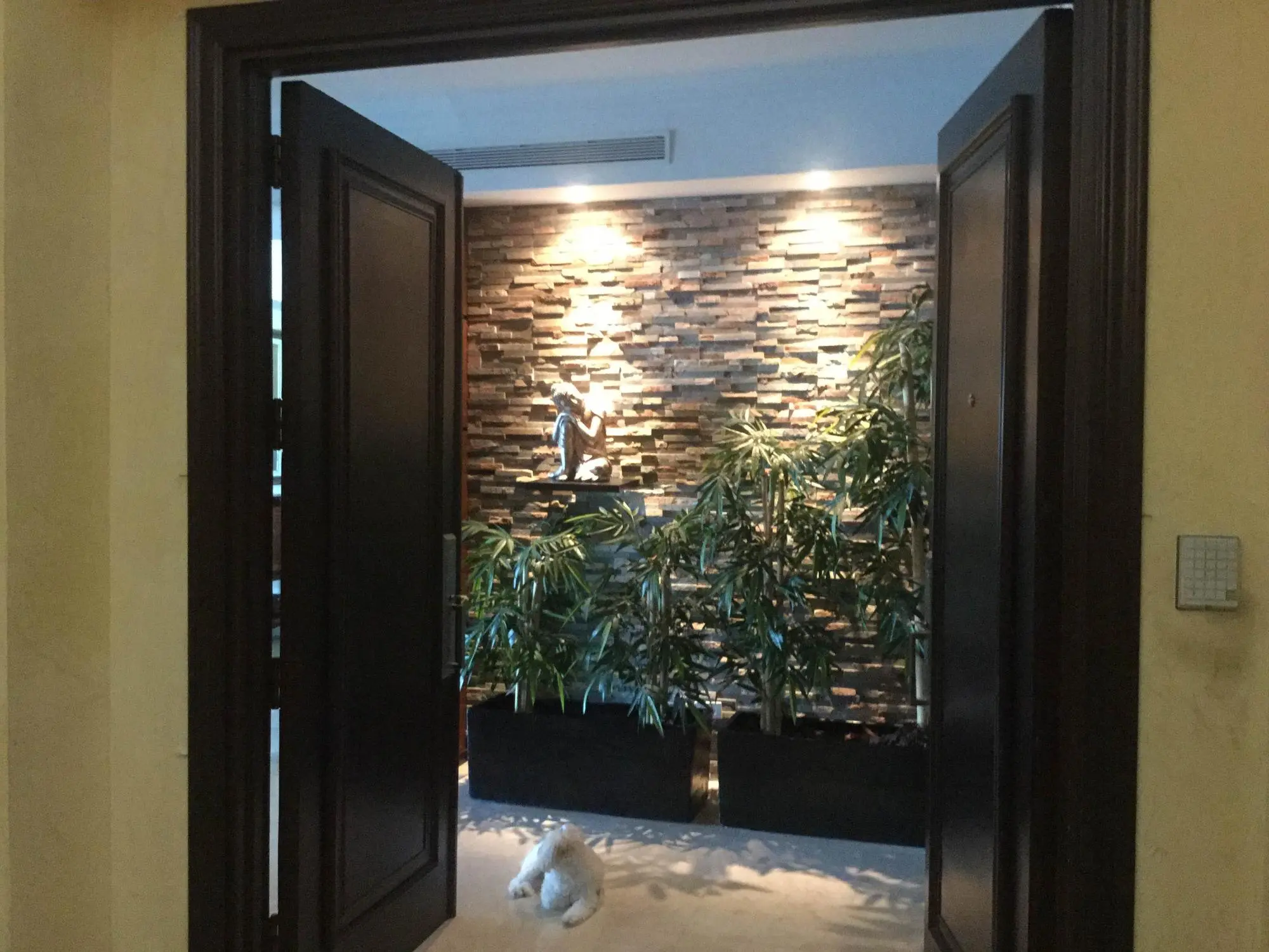 Avenida Pase Del Mar #9a - Photo 4