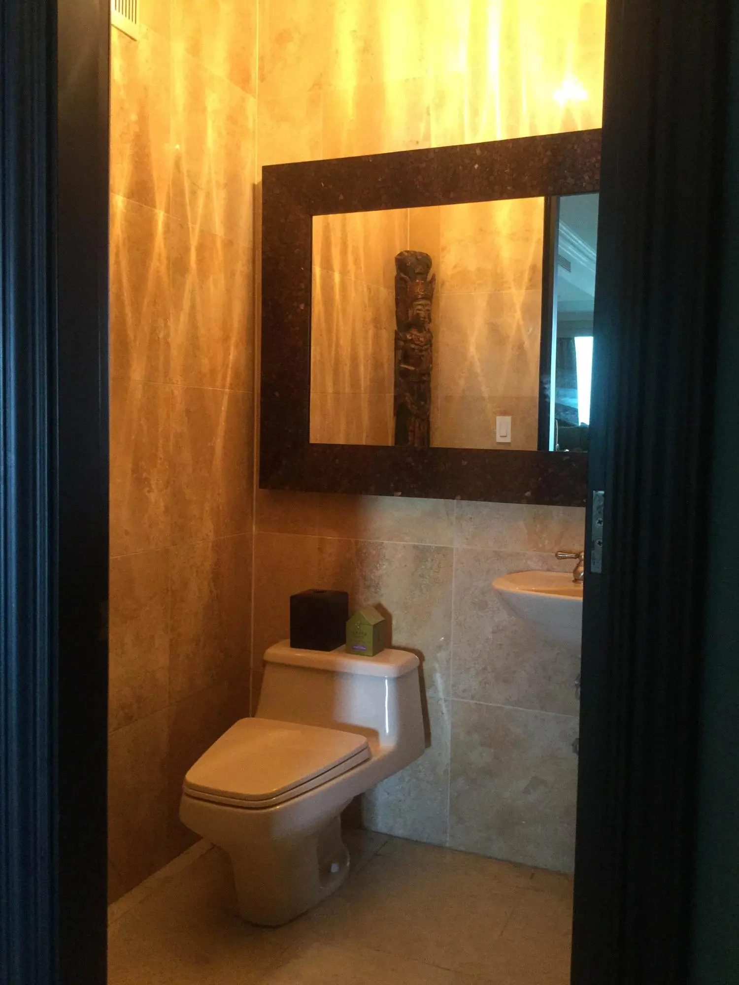 Avenida Pase Del Mar #9a - Photo 12