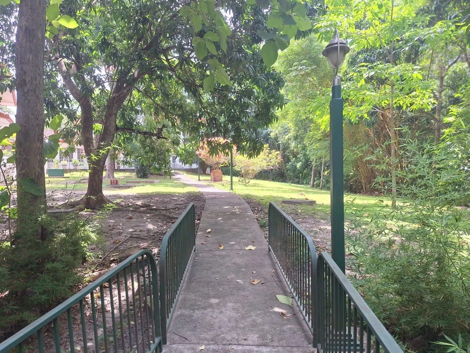 Santa Clara, Coclé, Anton - Photo 26