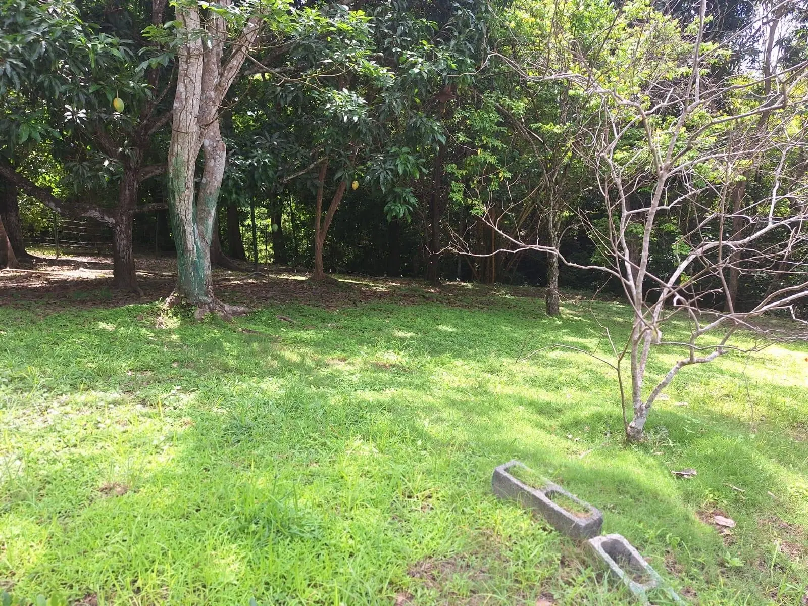 Santa Clara, Coclé, Anton - Photo 23