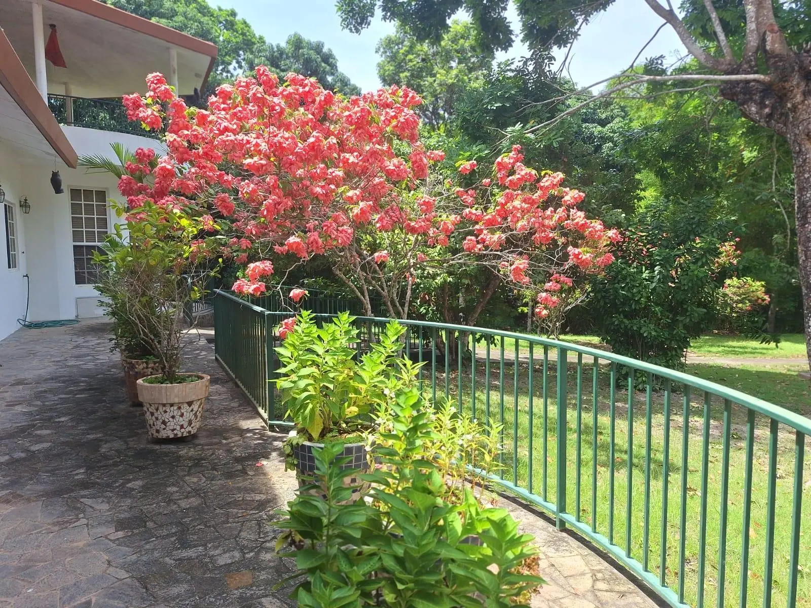 Santa Clara, Coclé, Anton - Photo 6