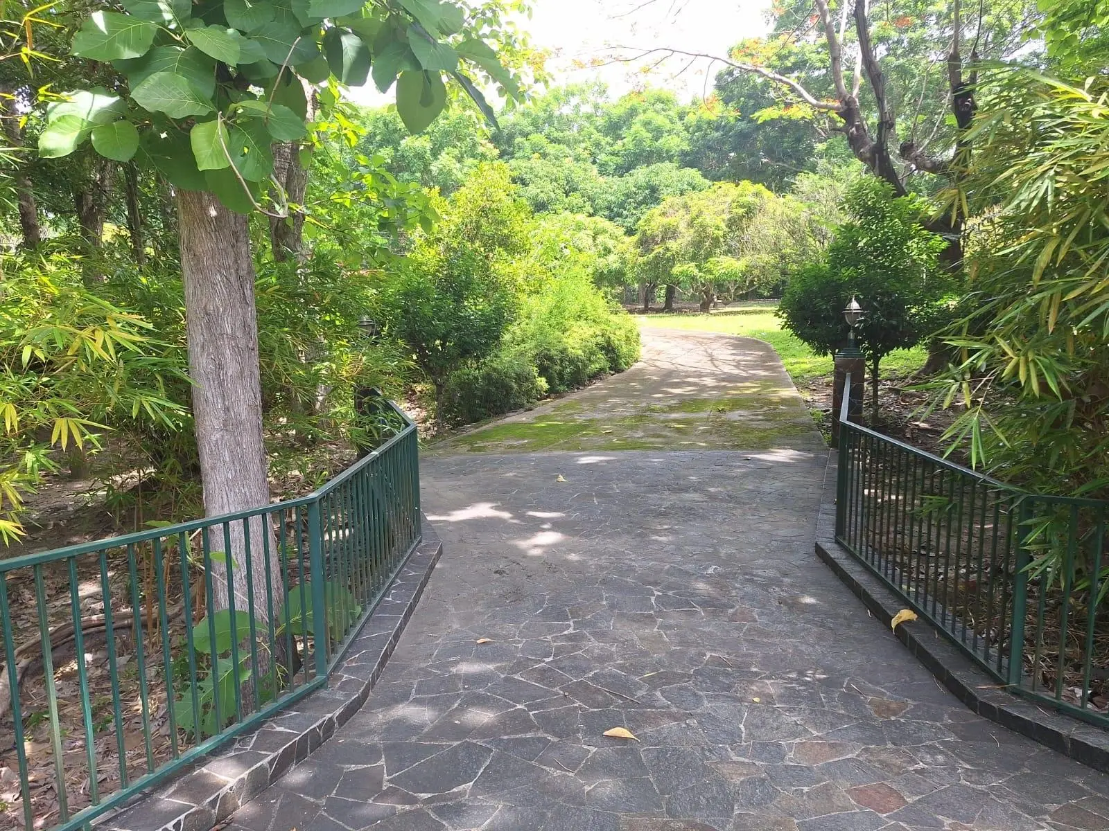 Santa Clara, Coclé, Anton - Photo 75