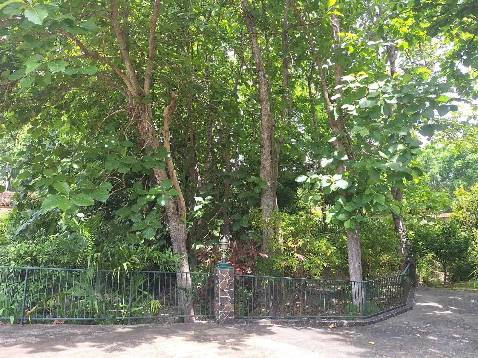 Santa Clara, Coclé, Anton - Photo 73