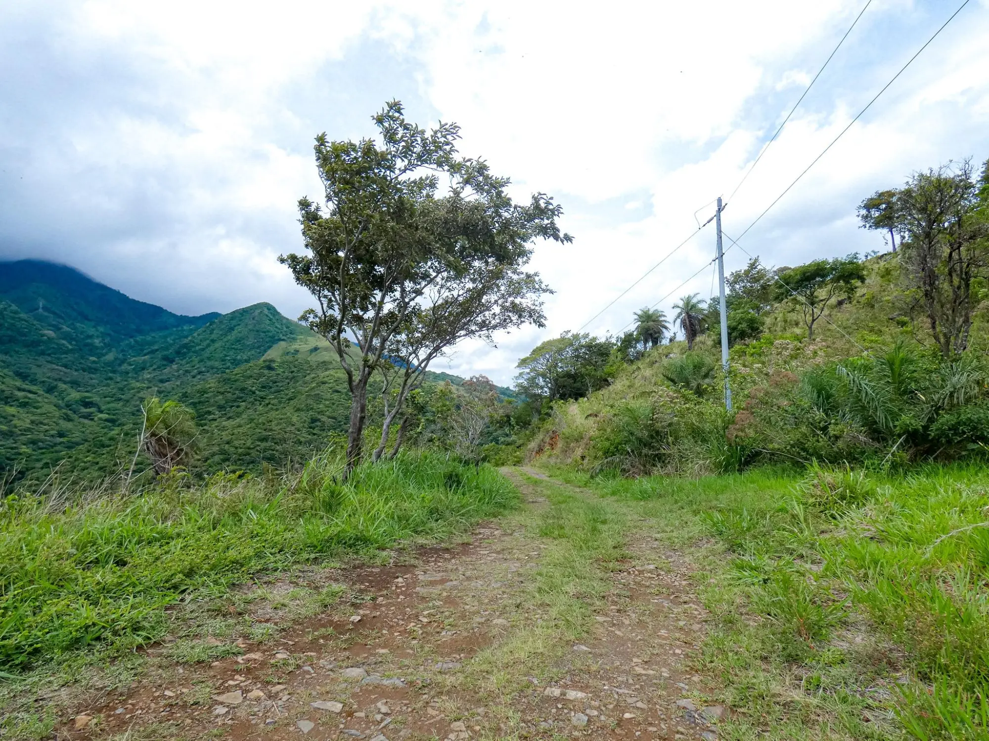 Caldera, Boquete Chiriqui Panama - Photo 62