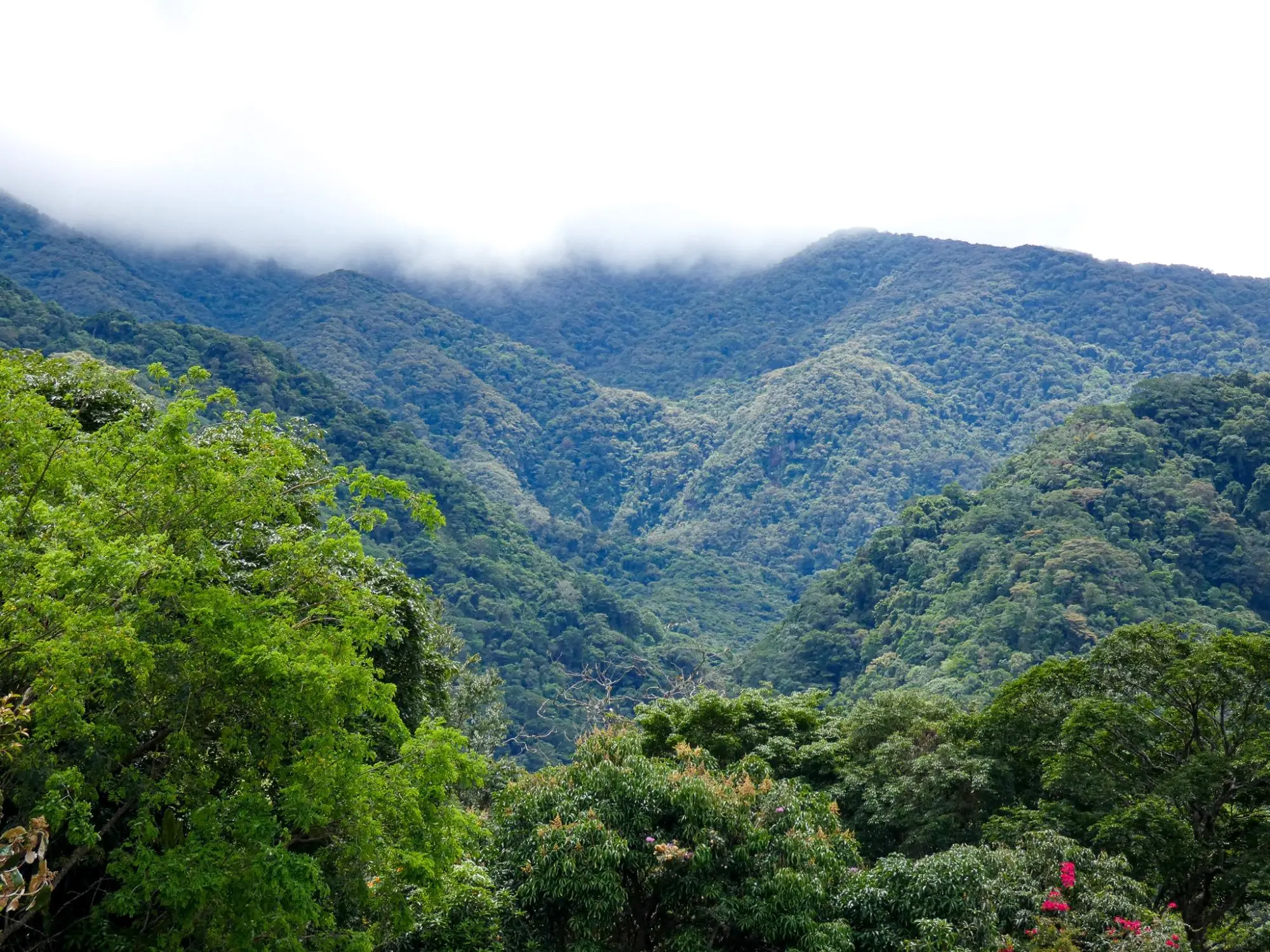 Caldera, Boquete Chiriqui Panama - Photo 68
