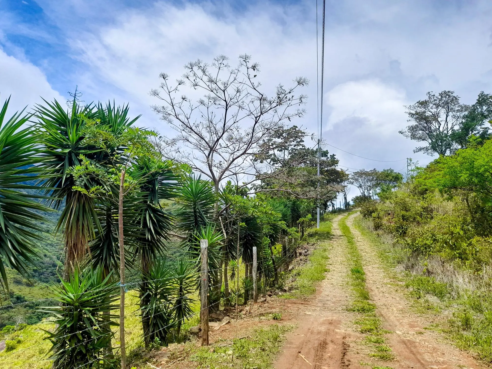 Caldera, Boquete Chiriqui Panama - Photo 43