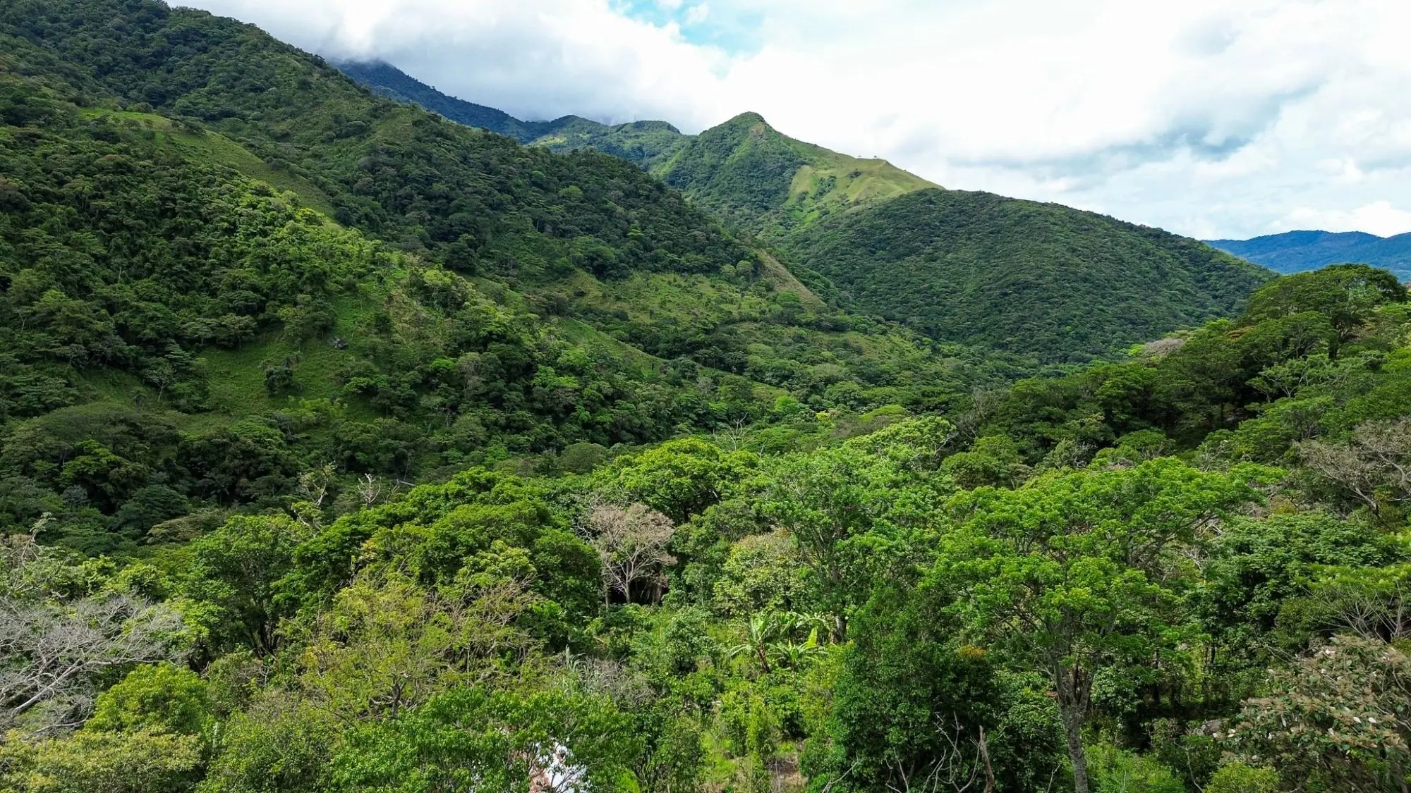 Caldera, Boquete Chiriqui Panama - Photo 55